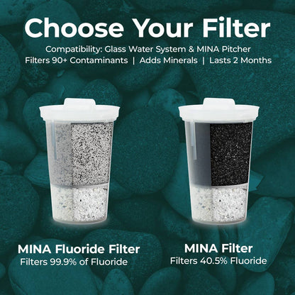MINA Filters: 1-Pack Standard