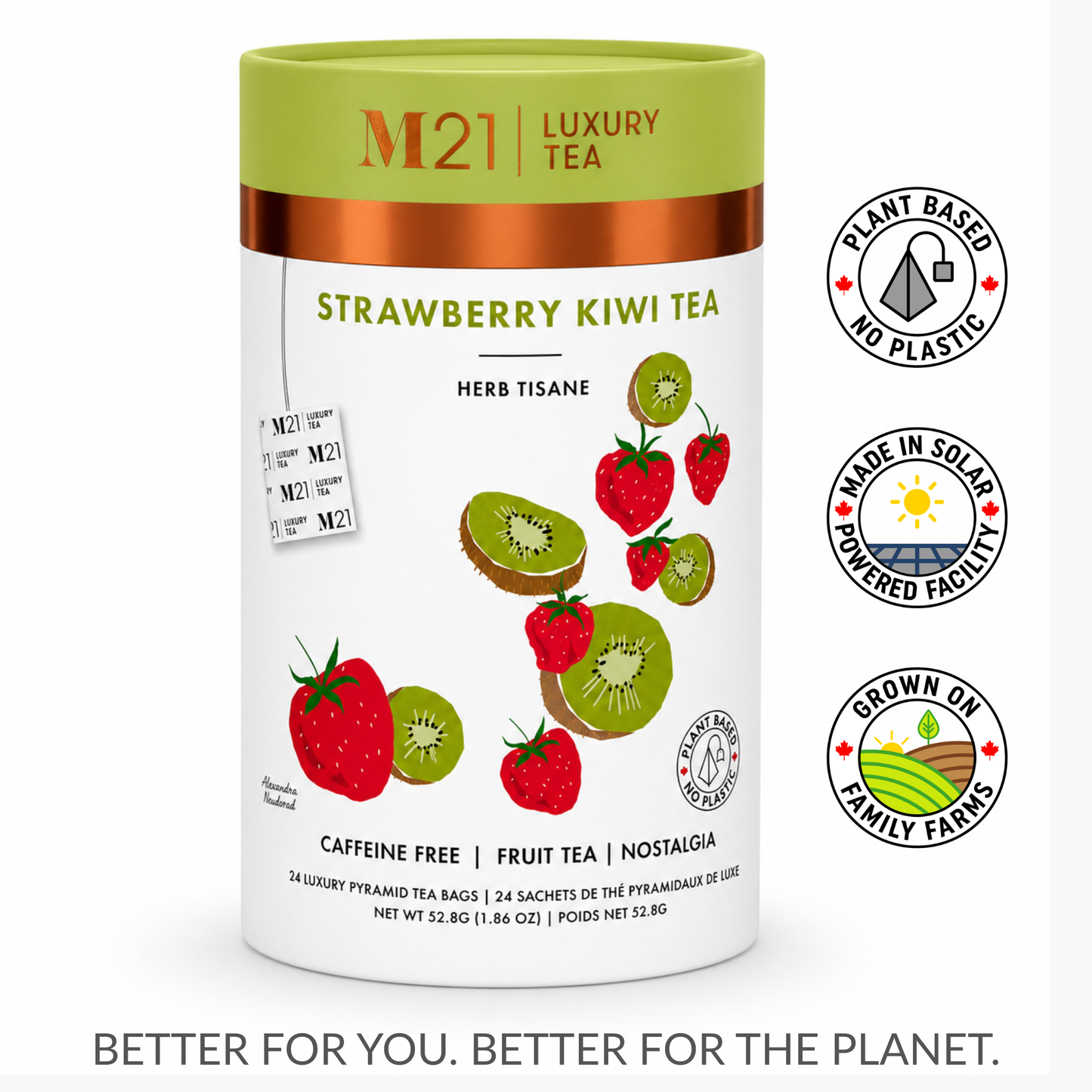 Strawberry Kiwi Luxury Herbal Tea | Canadian | 24ct
