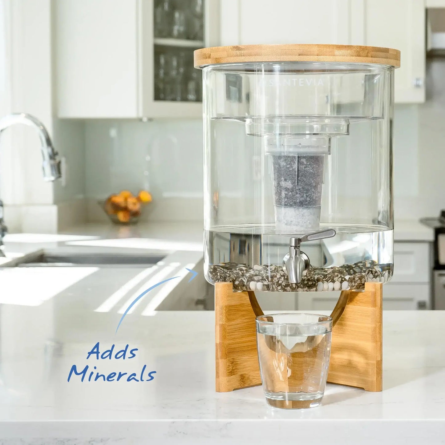 Glass Water System w/MINA Fluoride Filter