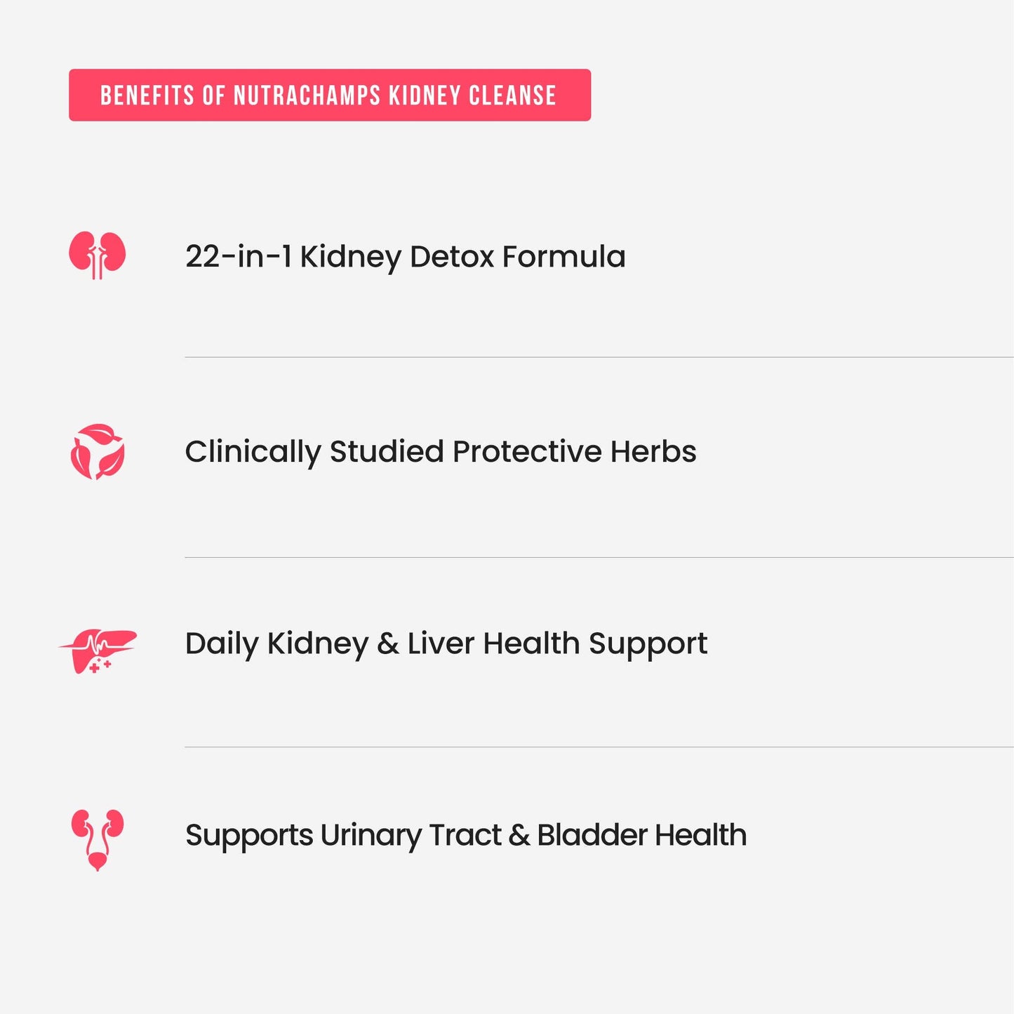 Kidney Cleanse