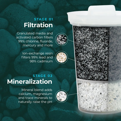 Glass Water System w/MINA Fluoride Filter
