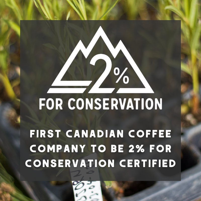Bison - Organic Coffee (MED): 340g