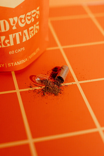 Cordyceps - Stamina | Energy | Drive