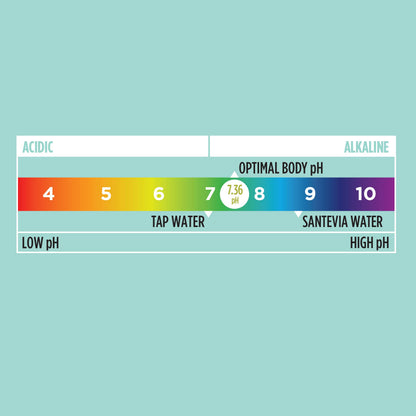 PH Test Kit
