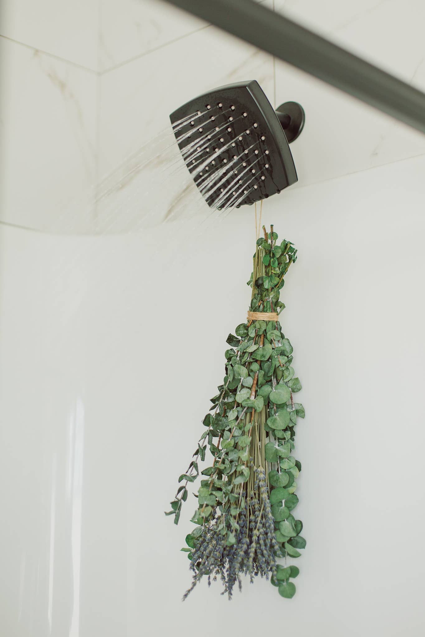 Eucalyptus + Lavender Shower Bundle: Classic