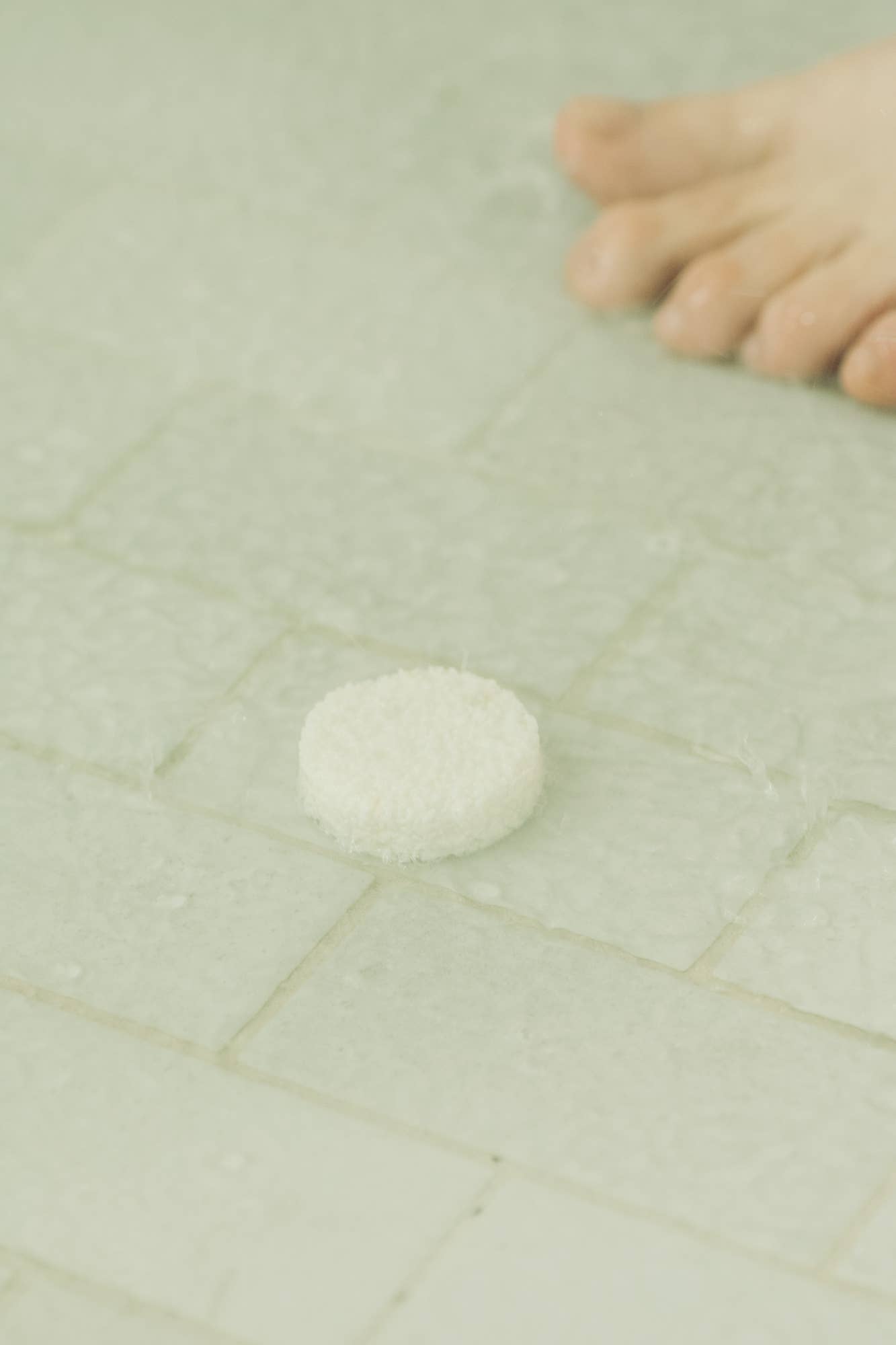 EUCALYPTUS STEAM® Cleansing Vapors for the Shower® -  Normal Jar - No Tox Life