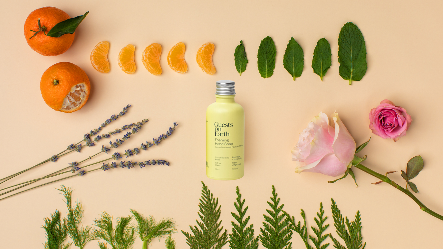 All-Purpose Cleaner : Citrus Oasis