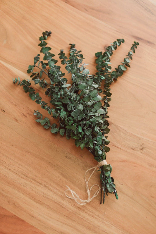 Eucalyptus Shower Bundle: Classic