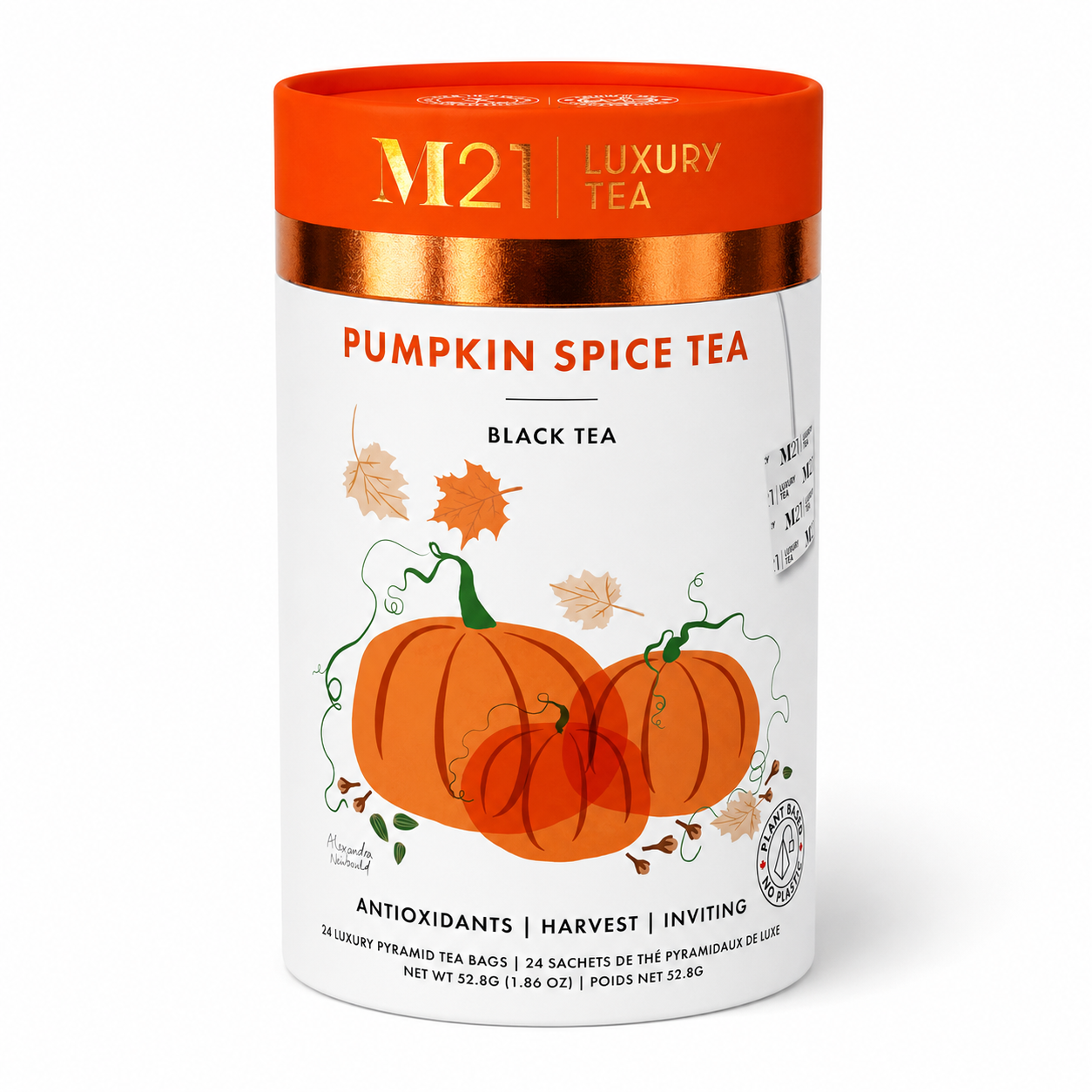 Pumpkin Spice Luxury Black Tea | Canadian | 24 Tea Bags