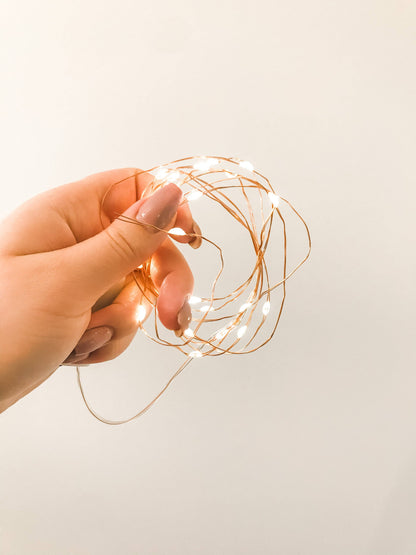 Fairy Lights: Fairy Lights Single Strand